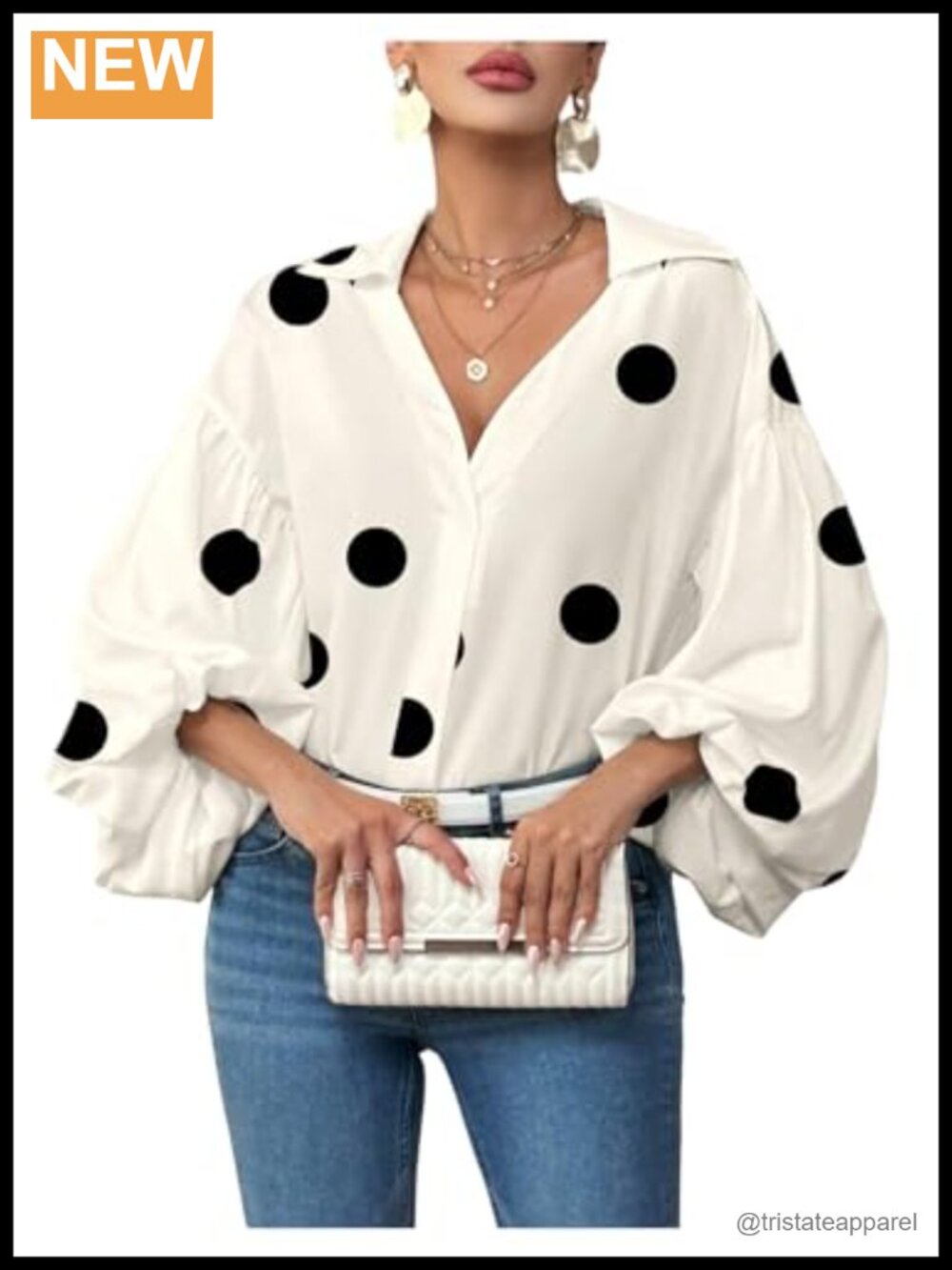 Polka Dots Long Sleeve Blouse V Neck Collared Lantern Sleeve Top